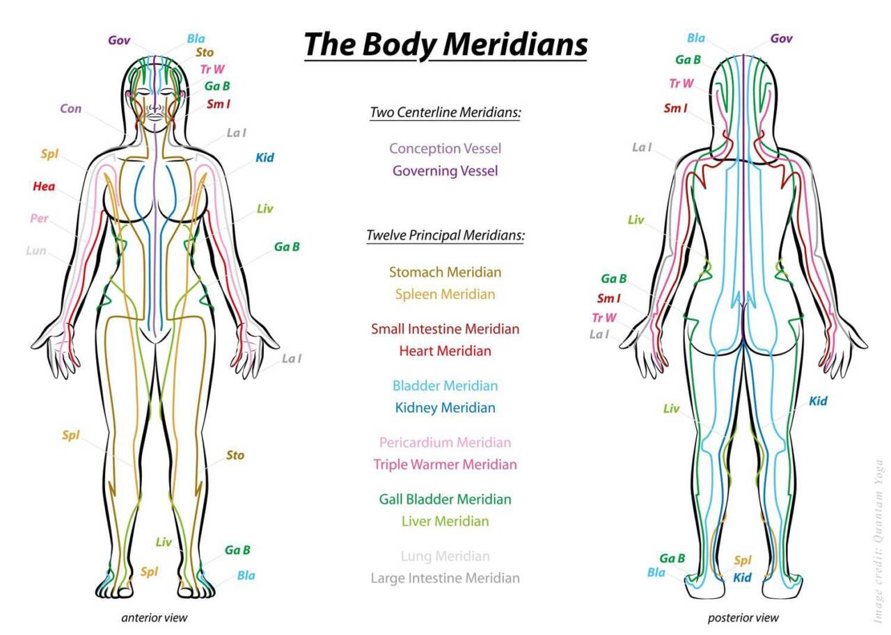meridians - quantum yoga_